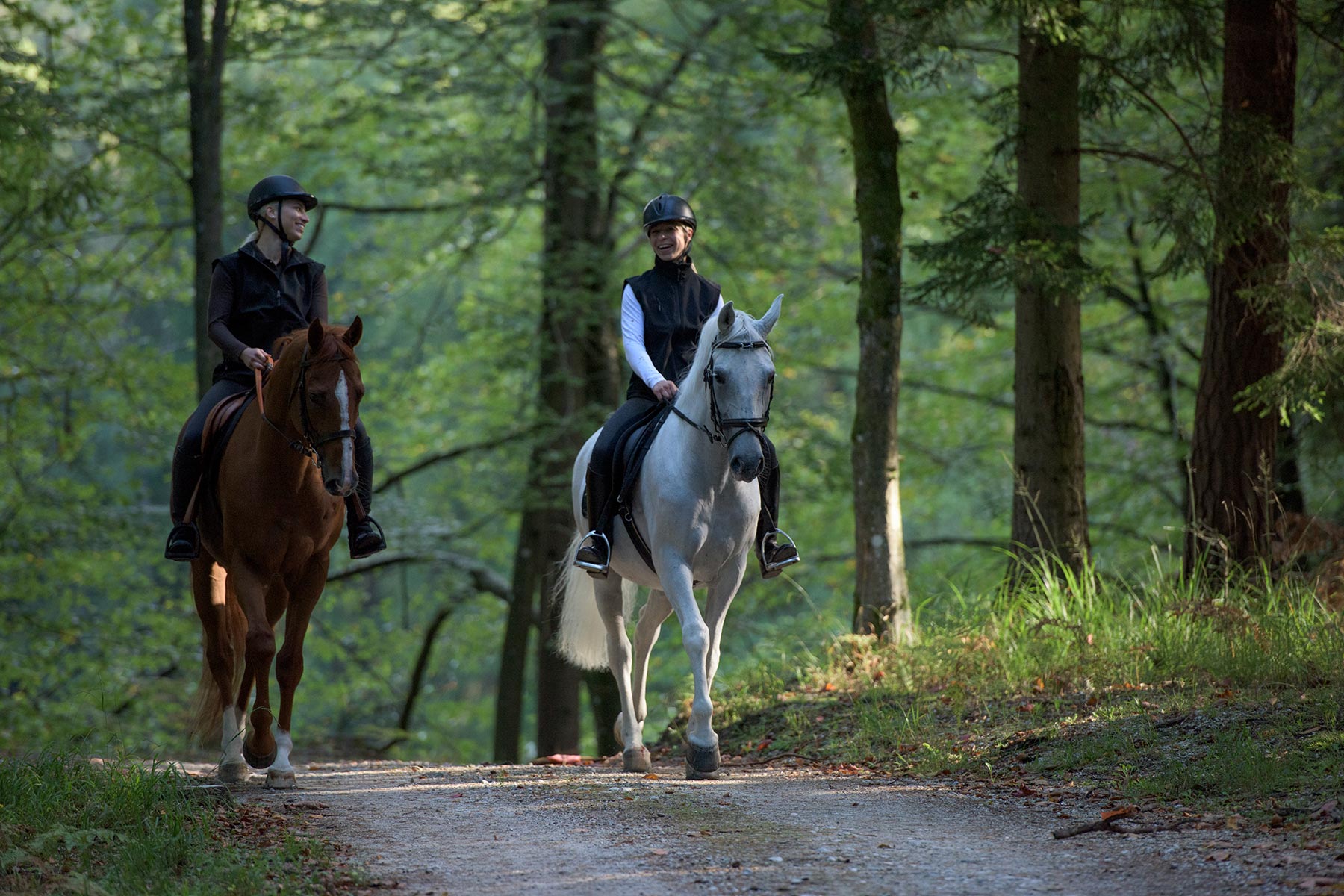 Two Riders On Horseback In Forest.